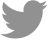 twitter-icon.svg.png